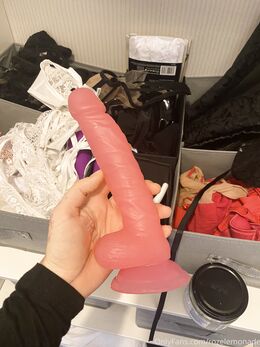 Rebecca Roze (itsamarafox)