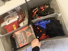 Rebecca Roze (itsamarafox)