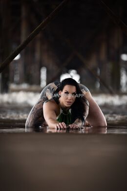 Urban Vixen